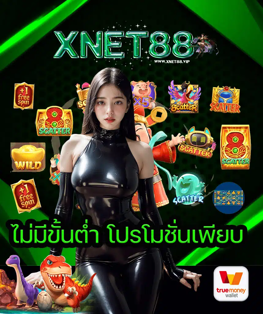 xnet88 สล็อตออนไลน์